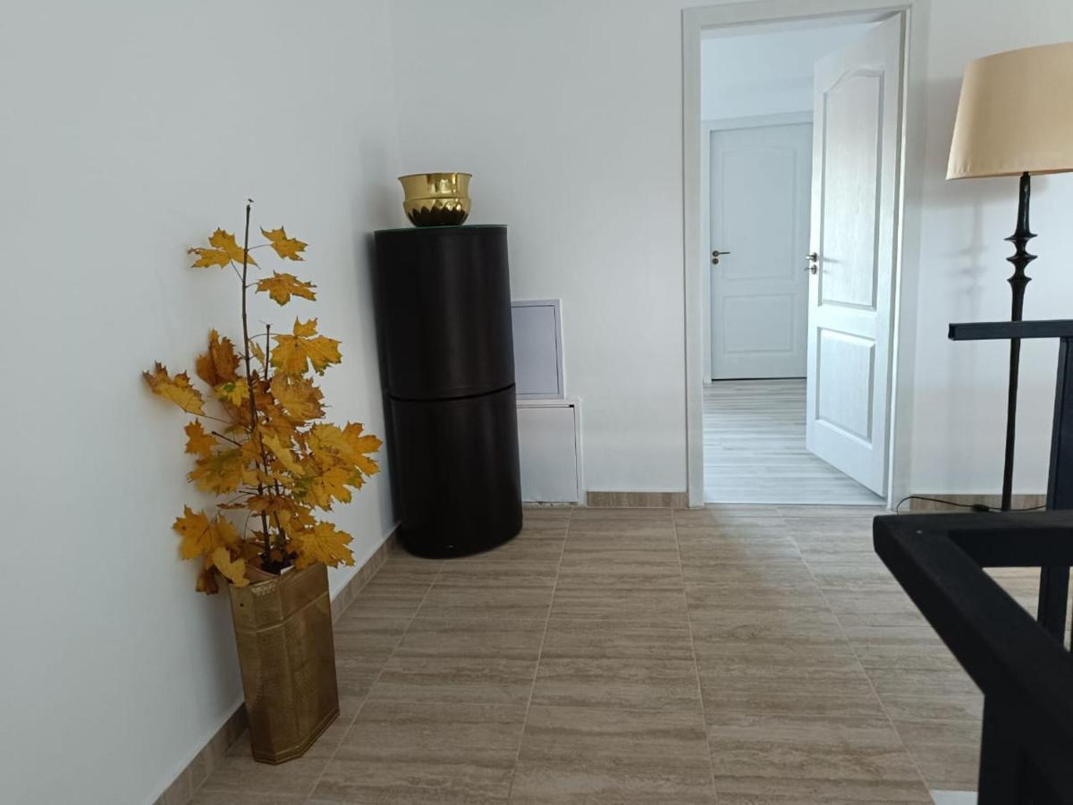 Hotel Viv Rosetti Jassy Zewnętrze zdjęcie